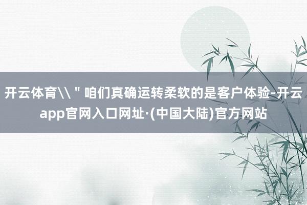开云体育\＂咱们真确运转柔软的是客户体验-开云app官网入口网址·(中国大陆)官方网站