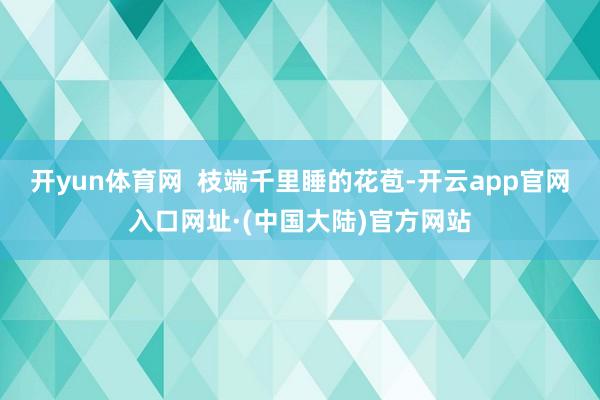 开yun体育网  枝端千里睡的花苞-开云app官网入口网址·(中国大陆)官方网站