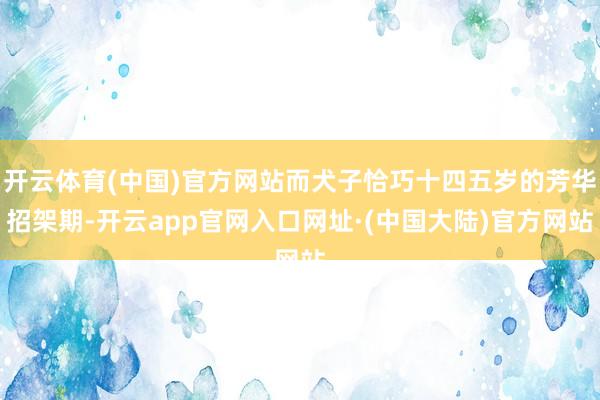 开云体育(中国)官方网站而犬子恰巧十四五岁的芳华招架期-开云app官网入口网址·(中国大陆)官方网站